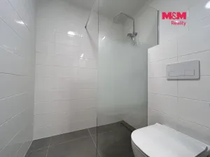 Pronájem bytu 2+1, Ústí nad Labem - Severní Terasa, Maková, 44 m2