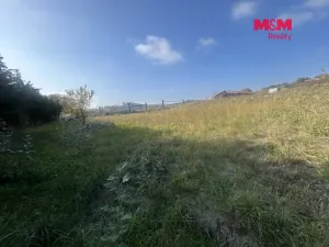 Prodej pozemku pro bydlení, Čížová - Bošovice, 1927 m2
