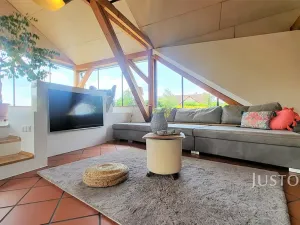 Prodej rodinného domu, Čížová, 346 m2