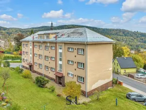Prodej bytu 1+1, Tanvald, Radniční, 28 m2
