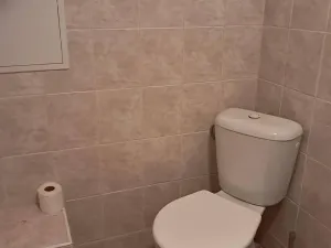 Prodej vícegeneračního domu, Dobromilice, 156 m2