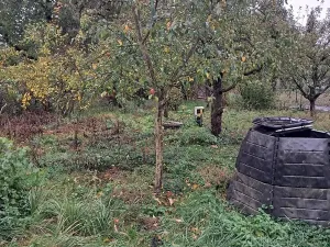Prodej vícegeneračního domu, Dobromilice, 156 m2