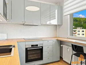 Pronájem bytu 1+1, Ústí nad Labem, Jizerská, 42 m2