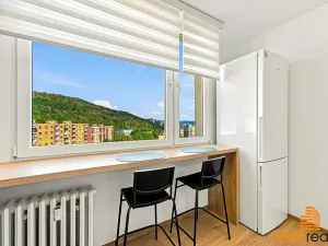 Pronájem bytu 1+1, Ústí nad Labem, Jizerská, 42 m2