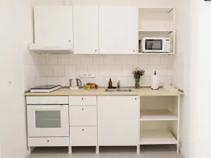 Pronájem bytu 1+kk, Praha - Žižkov, Štítného, 36 m2