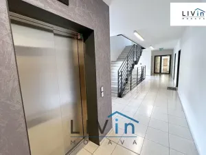 Pronájem bytu 1+kk, Olomouc, Rokycanova, 43 m2