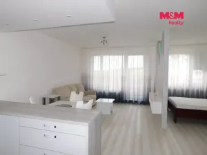 Pronájem bytu 1+kk, Praha - Horní Měcholupy, Nad přehradou, 54 m2