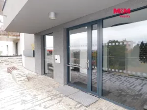Pronájem bytu 1+kk, Praha - Horní Měcholupy, Nad přehradou, 54 m2