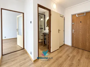 Pronájem bytu 2+kk, Teplice, V závětří, 41 m2
