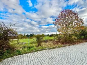 Prodej komerčního pozemku, Rudná, 6000 m2