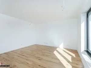 Prodej bytu 1+kk, Plzeň, Železná, 38 m2