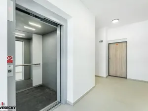 Prodej bytu 1+kk, Plzeň, Železná, 38 m2
