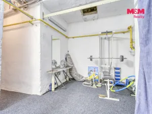 Prodej rodinného domu, Tachov, Lesní, 165 m2