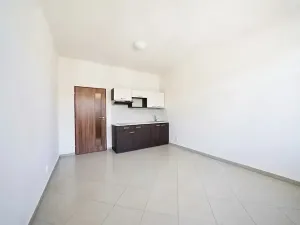 Prodej bytu 1+kk, Brno, Svitavská, 29 m2