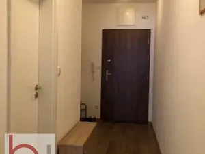 Pronájem bytu 1+kk, České Budějovice, Krčínova, 38 m2