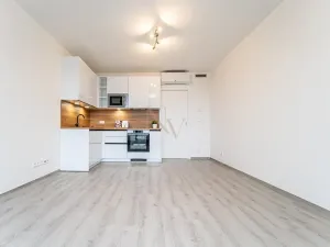 Pronájem bytu 1+kk, Brno, Opuštěná, 29 m2