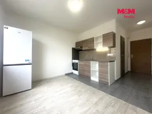 Pronájem bytu 1+1, Chomutov, Písečná, 36 m2