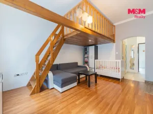 Prodej bytu 1+1, Aš, Vysoká, 36 m2