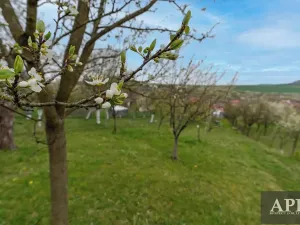 Prodej rodinného domu, Boršice u Blatnice, 105 m2