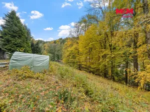 Prodej chaty, Dolní Dobrouč - Lanšperk, 15 m2