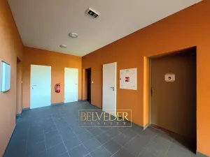 Prodej bytu 2+kk, Teplice, Albrechtova, 67 m2