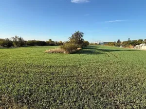 Prodej zahrady, Brno, 6418 m2