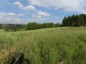 Prodej pozemku pro bydlení, Zbizuby, 1000 m2