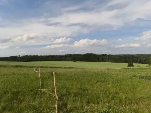 Prodej pozemku pro bydlení, Zbizuby, 1000 m2