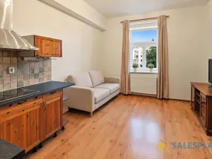 Prodej bytu 2+kk, Praha - Žižkov, Havlíčkovo náměstí, 34 m2