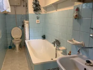 Prodej rodinného domu, Panenské Břežany, 300 m2