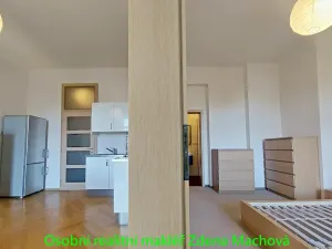 Pronájem bytu 2+kk, Praha - Vinohrady, U Kanálky, 45 m2