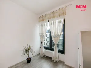 Prodej bytu 2+kk, Plzeň - Jižní Předměstí, Železná, 65 m2