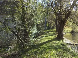 Dražba pozemku pro bydlení, Nové Hrady, 813 m2