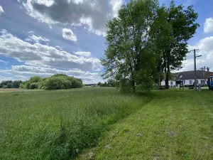 Dražba pozemku pro bydlení, Slavonice, 1281 m2