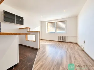 Pronájem bytu 2+kk, Osek, Dolejšova, 43 m2