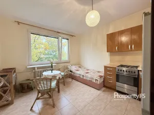 Pronájem bytu 1+1, Ústí nad Labem - Střekov, Tolstého, 37 m2