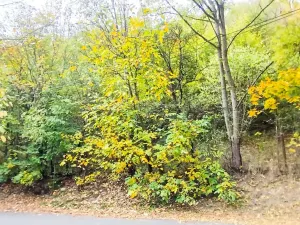 Prodej pozemku pro bydlení, Jílové u Prahy, 881 m2