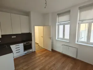 Pronájem bytu 1+1, Praha - Nové Město, Růžová, 56 m2