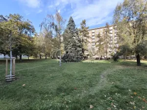Pronájem bytu 1+1, Praha - Vršovice, Na stezce, 37 m2