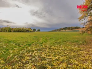 Prodej louky, Lužany - Zelené, 5700 m2