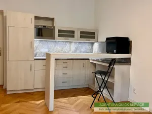 Pronájem bytu 1+kk, Praha - Žižkov, Slavíkova, 30 m2