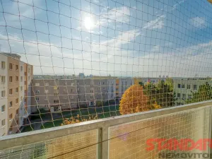 Prodej bytu 2+1, Plzeň, Terezie Brzkové, 62 m2