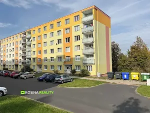 Prodej bytu 3+1, Sokolov, Mánesova, 64 m2