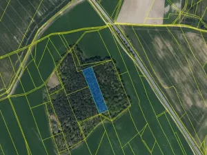 Prodej lesa, Ostřetín - Vysoká u Holic, 5528 m2