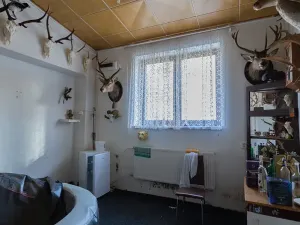 Prodej vícegeneračního domu, Vejprty, 900 m2