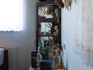 Prodej vícegeneračního domu, Vejprty, 900 m2