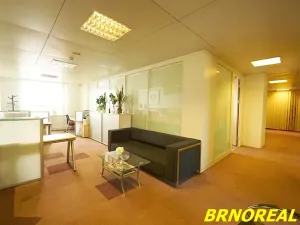Pronájem kanceláře, Brno, Příkop, 20 m2