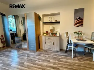 Prodej bytu 1+kk, Králův Dvůr, Plzeňská, 41 m2
