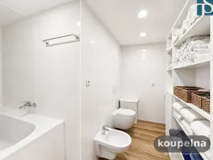 Prodej bytu 1+1, Praha - Vinohrady, Na Kozačce, 48 m2