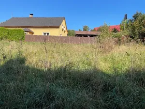 Prodej rodinného domu, Krásná Lípa, 280 m2